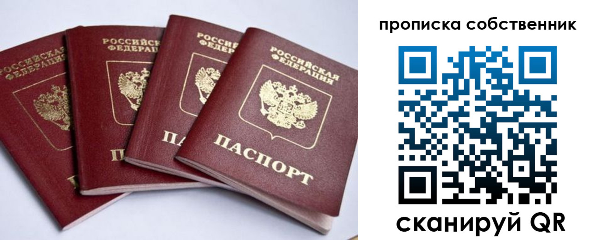 прописка для школы в Коряжме
