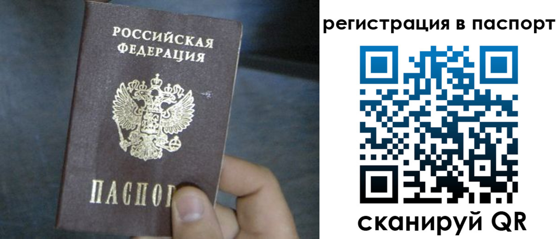 прописка 2025 в Коряжме